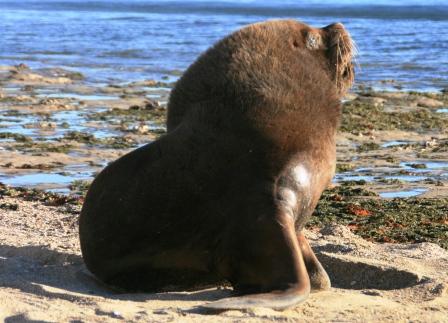 Das kann dem Papa auch schon mal zuviel werden...